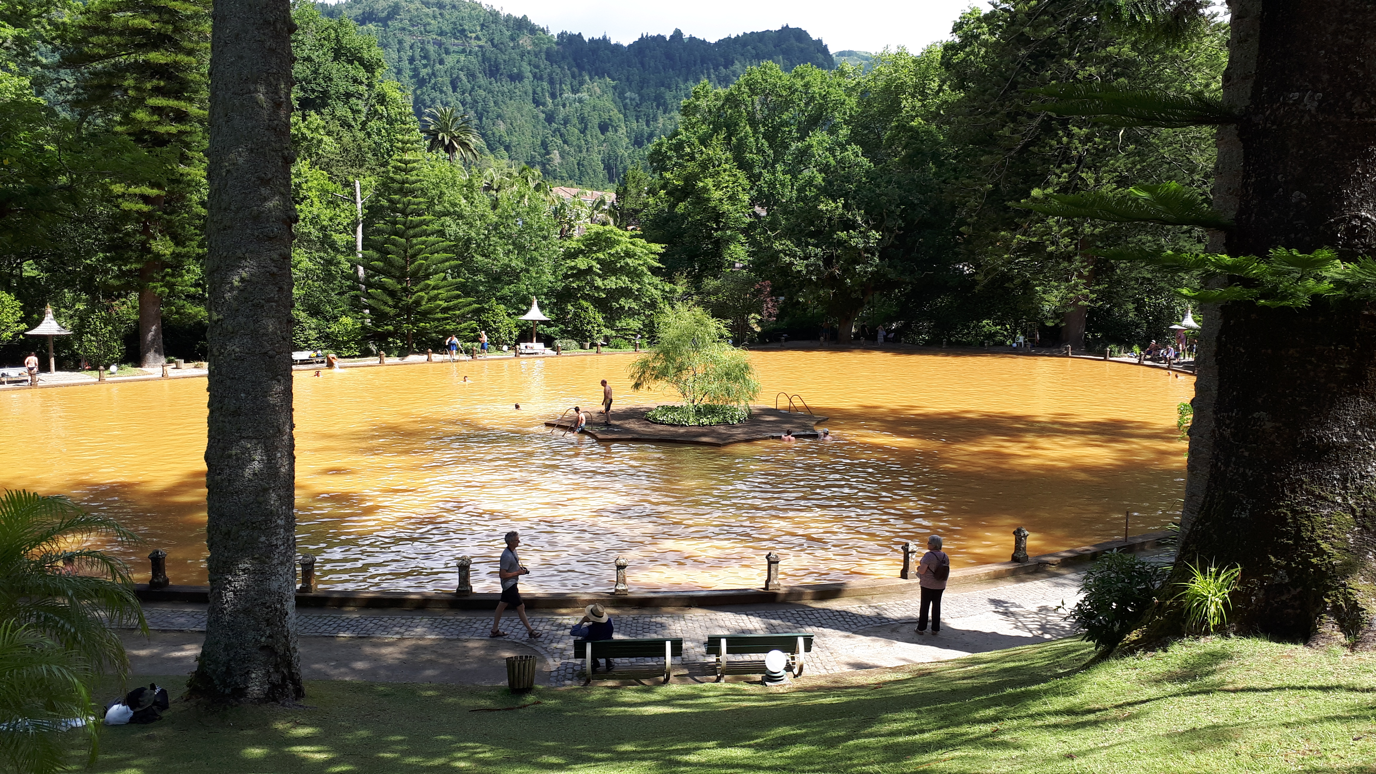 Le jardin Terra Nostra à Furnas : déambulations et photos