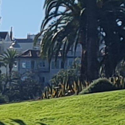 Dolores park : à la recherche du point de vue original