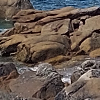 Les rochers d'Ouessant