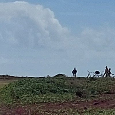 Les chemins d'Ouessant