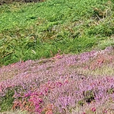 Les couleurs d'Ouessant