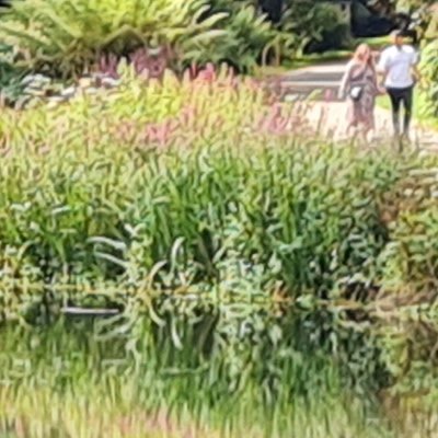 Promenade dominicale au Jardin botanique de Brest