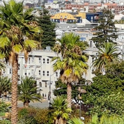 Dolores park : à la recherche du point de vue original