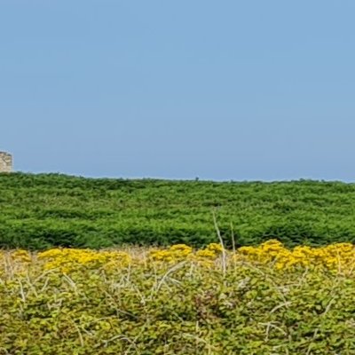 Creach et Pointe de Pern