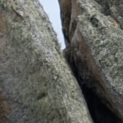 Les rochers d'Ouessant