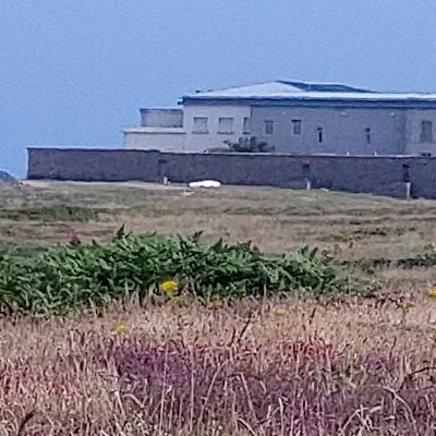 Les couleurs d'Ouessant