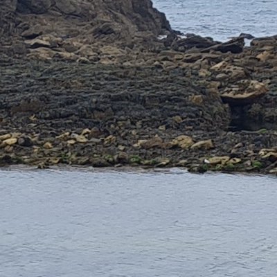 Autour de la plage de Yuzin