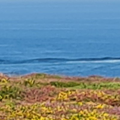 Les couleurs d'Ouessant