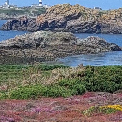 Les couleurs d'Ouessant