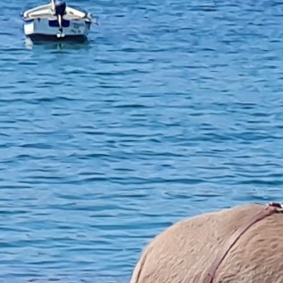 Autour de la plage de Yuzin