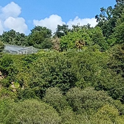 Promenade dominicale au Jardin botanique de Brest