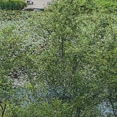 Promenade dominicale au Jardin botanique de Brest