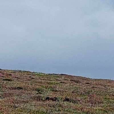 Les ciels d'Ouessant