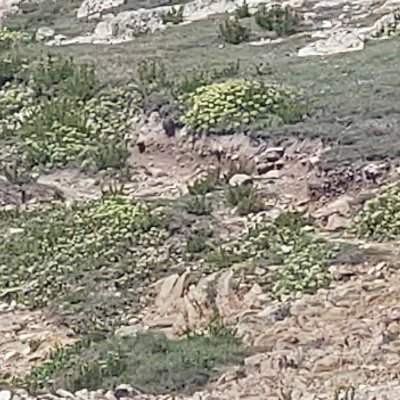 Les rochers d'Ouessant